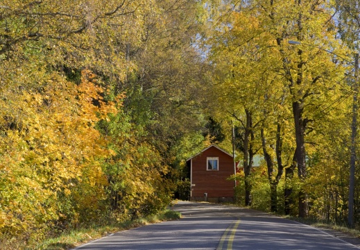 Autumnn road