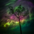 1. Jari Johnsson: "Amazing aurora"