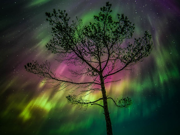 1. Jari Johnsson: "Amazing aurora"